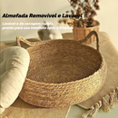 Caminha em Videira para Gatos 🌿