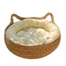 Caminha em Videira para Gatos 🌿