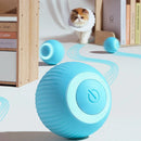Bolinha Smart Para Gatos