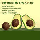 Abacate de Brinquedo para Gatos Com Catnip