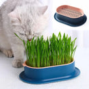 Pote Hidropônico Para Plantio De Grama - Cat Grass