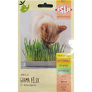 Pote Hidropônico Para Plantio De Grama - Cat Grass