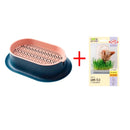 Pote Hidropônico Para Plantio De Grama - Cat Grass