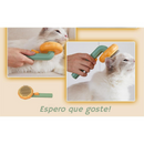 Escova Circle Brush