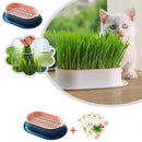 Pote Hidropônico Para Plantio De Grama - Cat Grass